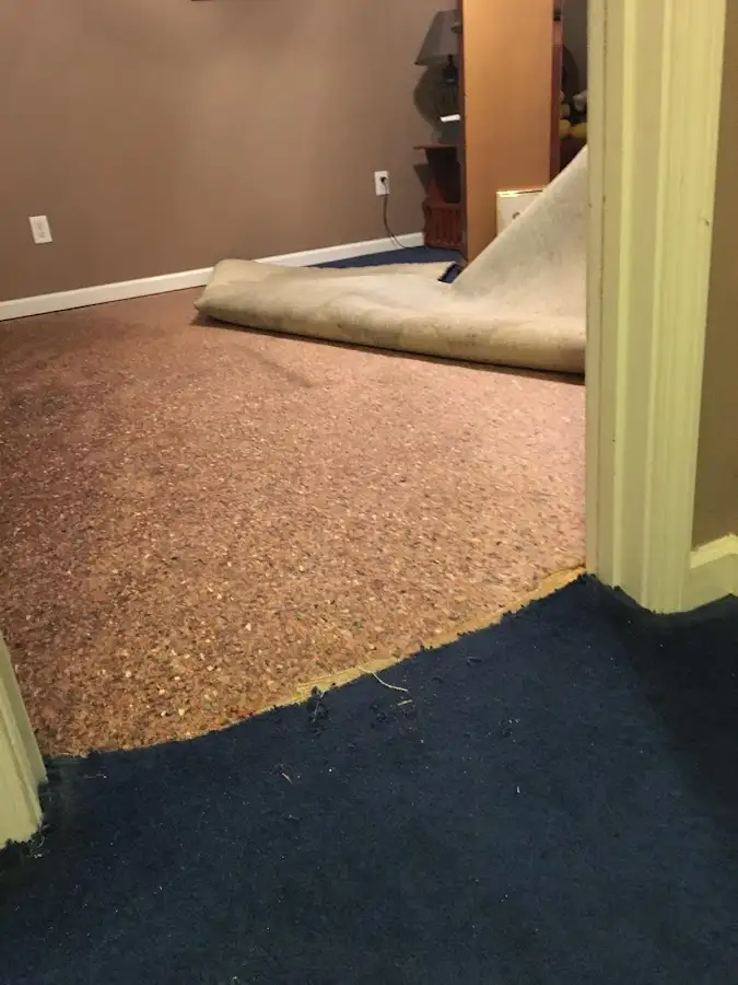 Carpet pad removal revealing water damage during Drying & Dehumidification in East Granby