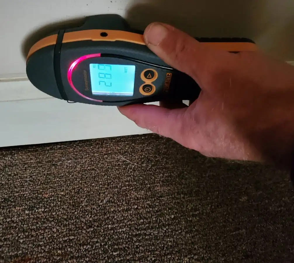Moisture detection at baseboard during Sewage Cleanup & Sanitation in East Granby